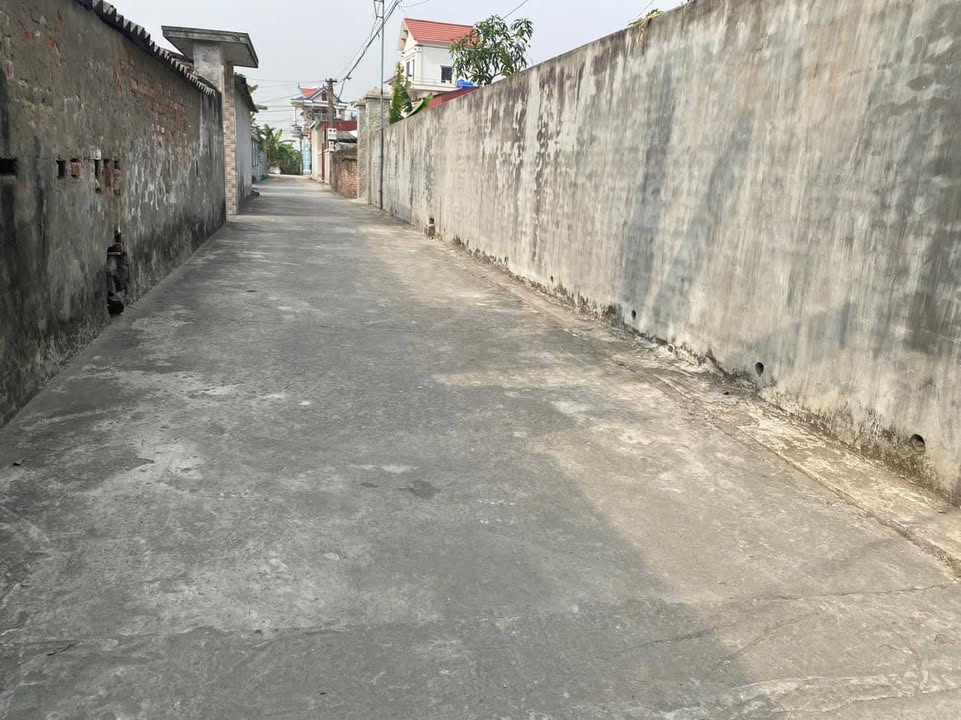 Đất thổ cư Thụy Sơn, Thái Thụy 67m² giá chỉ 300 triệu - Mặt tiền ô tô vào tận nơi!