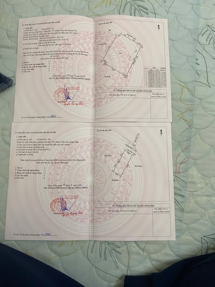 Nhà 2 tầng Vĩnh Hòa, Mạo Khê, 300m² - Sẵn sàng vào ở ngay!