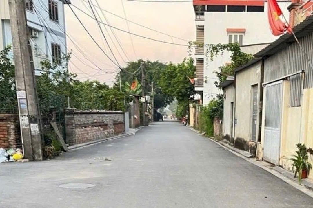 Đất đẹp Thụy Lâm 100m² giá thỏa thuận - Sổ đỏ chính chủ!