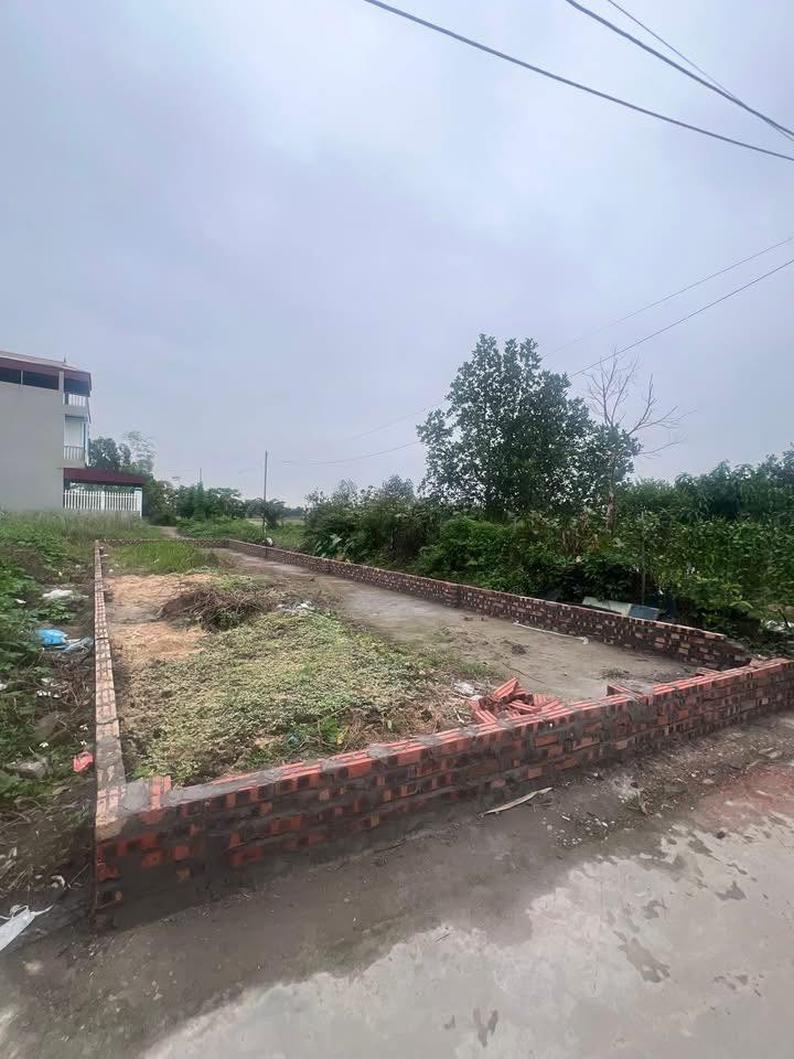 Đất nền Mãn Xá Tây, Song Liễu, 85m² giá 2 tỷ - Cơ hội đầu tư hấp dẫn!