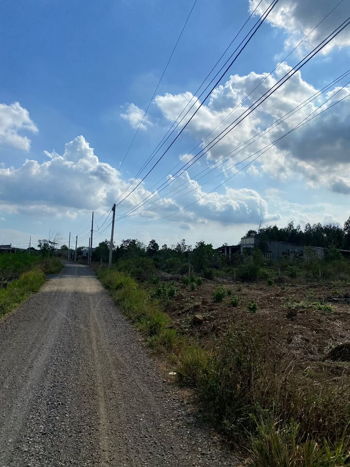 Đất mặt tiền đường Thừa Đức, Cẩm Mỹ 5000m² giá 9 tỷ - Cơ hội đầu tư hiếm có!