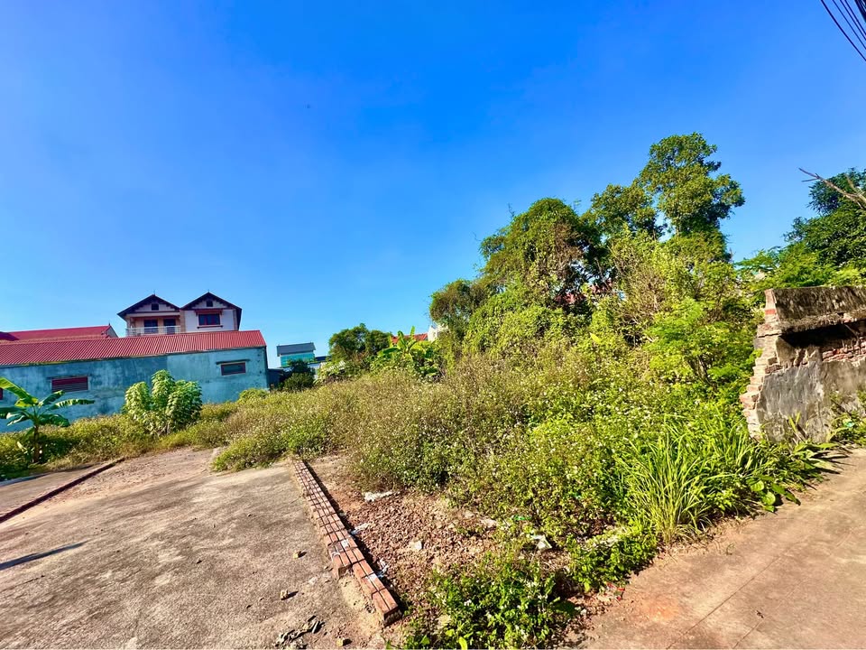 Đất nền Việt Hưng 123.6m² giá 1.8 tỷ - Vị trí đắc địa, đầu tư sinh lời!