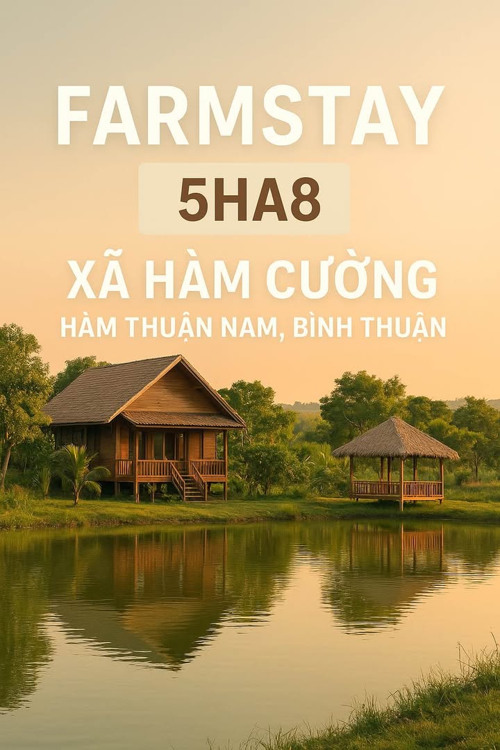 Đất Farm 5ha8 tại Bình Thuận - Cắt lỗ nhanh chỉ 4.8 tỷ!