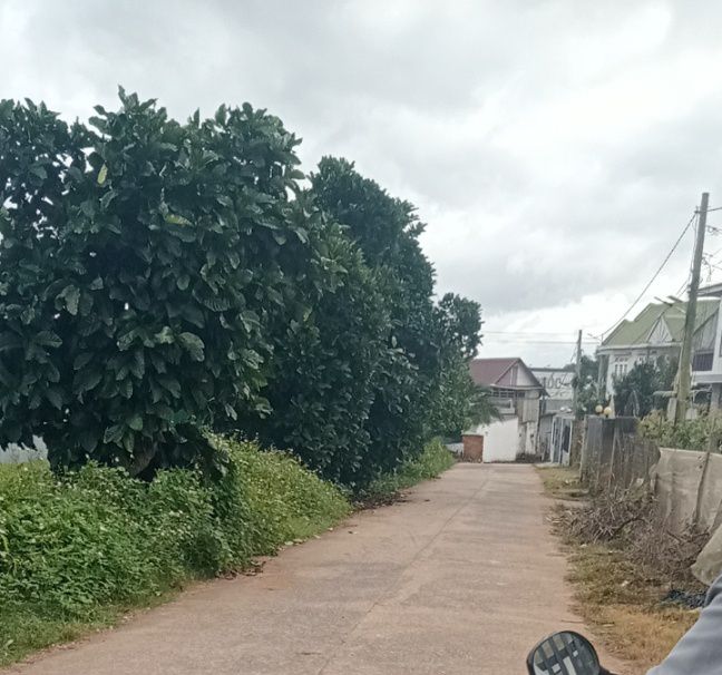 Đất nền Tân Hội, Đức Trọng 203m² giá 640 triệu - Cơ hội đầu tư tuyệt vời!