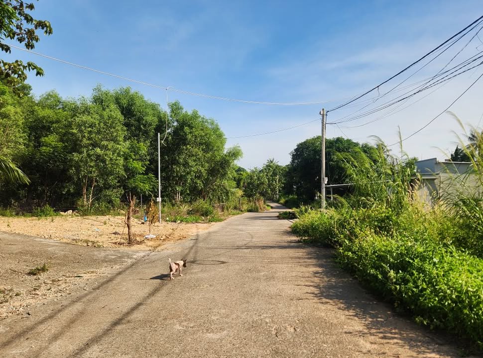 Đất nền Dương Đông Phú Quốc 143m² giá 5 tỷ - Sổ đỏ chính chủ, vị trí đắc địa!