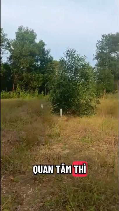 Đất nền 3,5 xào tại xã Phú Tân, Định Quán, Đồng Nai - Giá chỉ 700 triệu