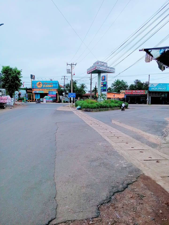 Đất mặt tiền nhựa chính xã Phú Hòa, Đồng Nai 220m² giá 1.45 tỷ - Cơ hội đầu tư sinh lời!