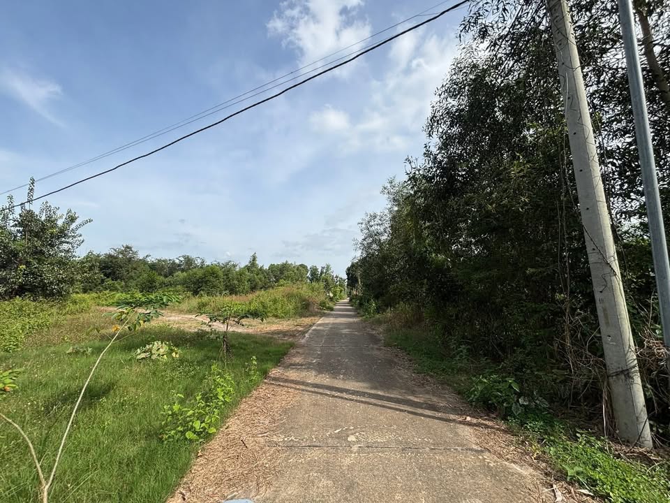 Đất nền 315m² mặt tiền đường bê tông Phú Hoà chỉ 499 triệu - Cơ hội đầu tư tuyệt vời!