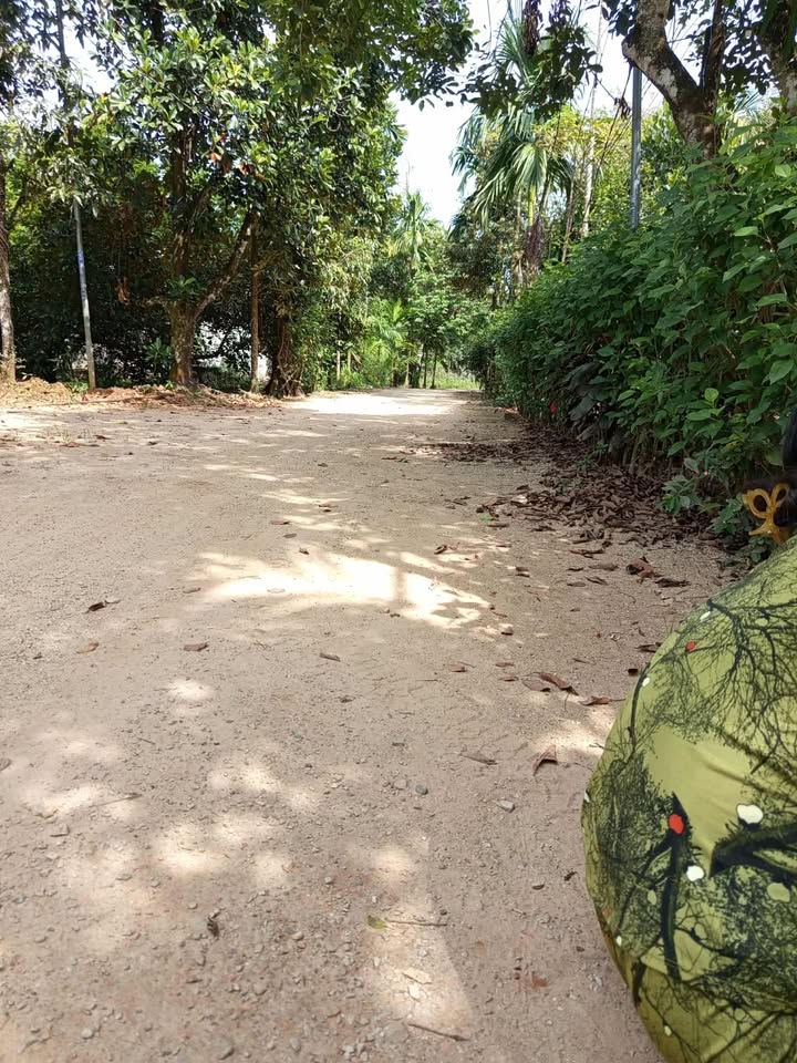 Đất thổ cư 1100m² xã Đạ Ploa, Đạ Huoai, Lâm Đồng giá 1,2 tỷ - Đầu tư sinh lời ngay!