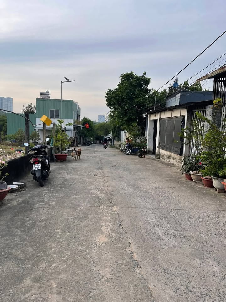 Đất thổ cư Thuận Giao 100m² giá 2 tỷ - Gần AEON Mall Bình Dương!