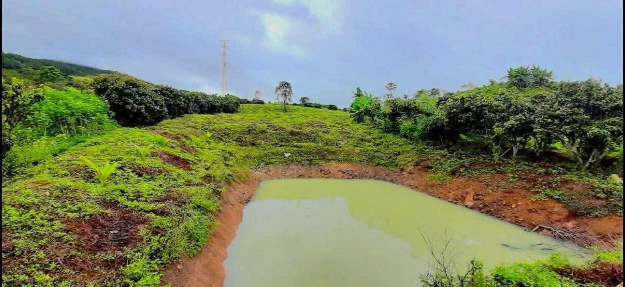 Đất nền 4 sào Gia Hiệp, Di Linh - Giá chỉ 950 triệu VND, đầu tư tuyệt vời!