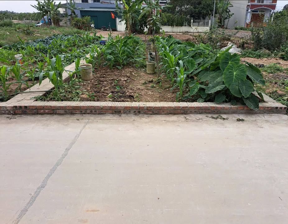 Đất ô tô tránh Quang Minh, Mê Linh 62,1m² giá 3 tỷ - Đầu tư sinh lời lý tưởng!