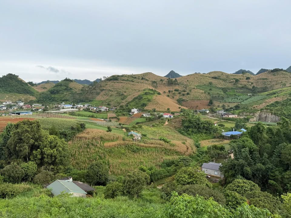 Đất nền Farm Vân Sơn Mộc Châu 1,2ha giá 12 tỷ - Thích hợp nghỉ dưỡng