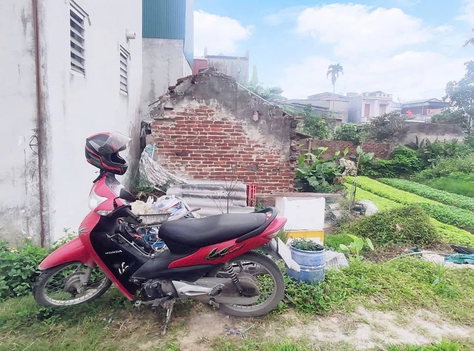 Lô đất đẹp Liên Hồng Hải Dương 60m² giá 1.8 tỷ - Tiềm năng sinh lời cao!