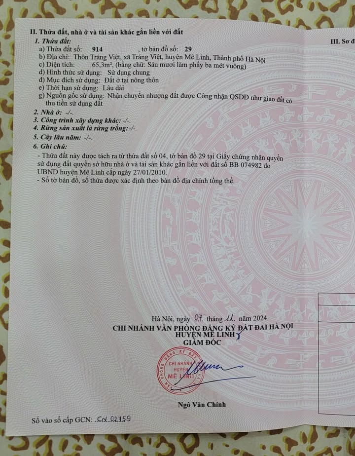 Đất nền chính chủ Tráng Việt, Mê Linh 65m² giá 3 tỷ - Sổ đỏ đầy đủ!