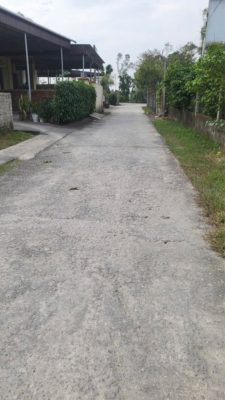 Đất Nghi Thái, Nghi Lộc 98.8m² giá 1.7 tỷ - Hướng Tây Bắc, giao thông thuận lợi!