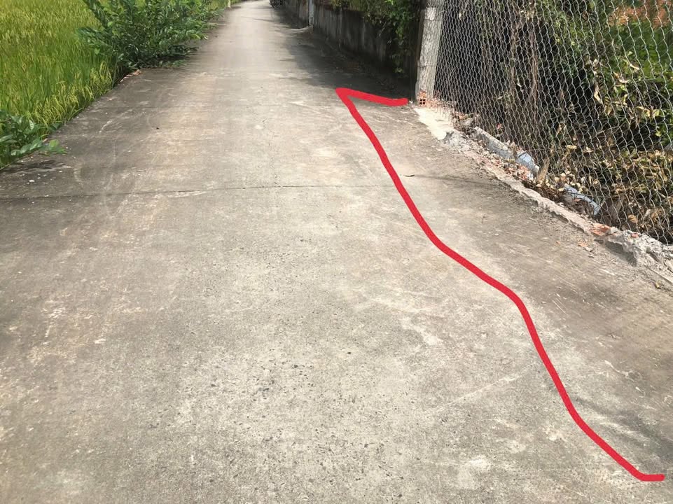 Đất nền thổ cư 340m² tại Phước Lợi, Bến Lức - Giá chỉ 1,5 tỷ, xây dựng tự do!