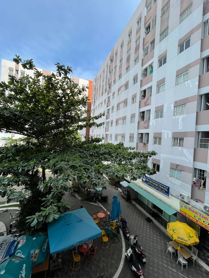 Căn hộ chung cư Bắc Hà Hoàng Hổ Long Xuyên 39.59m² giá 500 triệu - Sẵn sàng vào ở!