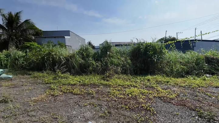 Bán đất mặt tiền Quốc lộ 91C, xã Vĩnh Hậu 1260m² - Cơ hội đầu tư giá trị!