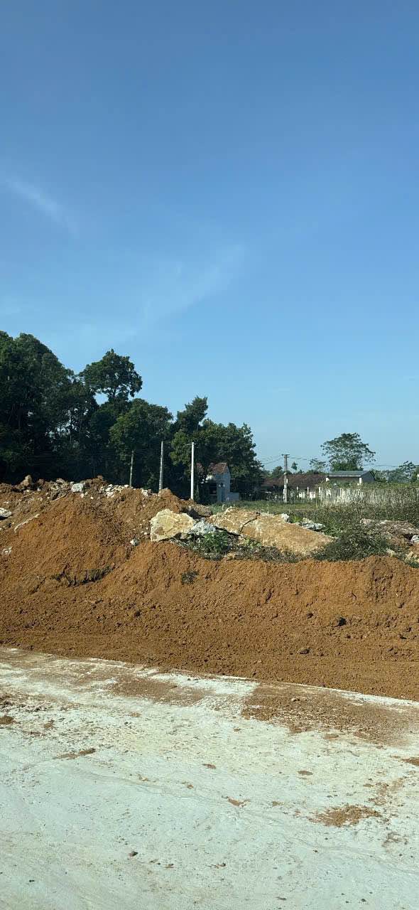 Đất nền 100m² khu Thanh Đình, xã Hy Cương - Giá chỉ 1.2 tỷ, cơ hội đầu tư tuyệt vời!