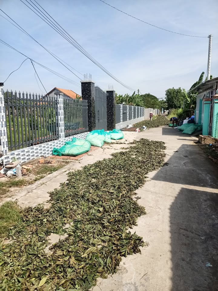 Đất nền mặt tiền đường bê tông xã Long Kiến 120m² giá 550 triệu - Cơ hội đầu tư hấp dẫn!