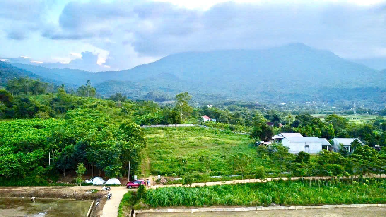 Đất Yên Bài Ba Vì 4.700m² giá 3,x triệu - View núi Ba Vì tuyệt đẹp!