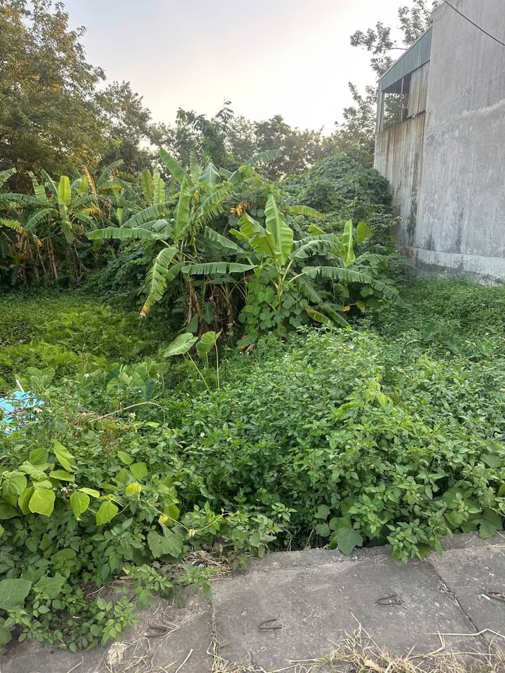 Đất nền đẹp Trừng Xá, Lương Tài 102m² giá chỉ 2 tỷ - Đầu tư sinh lời ngay!