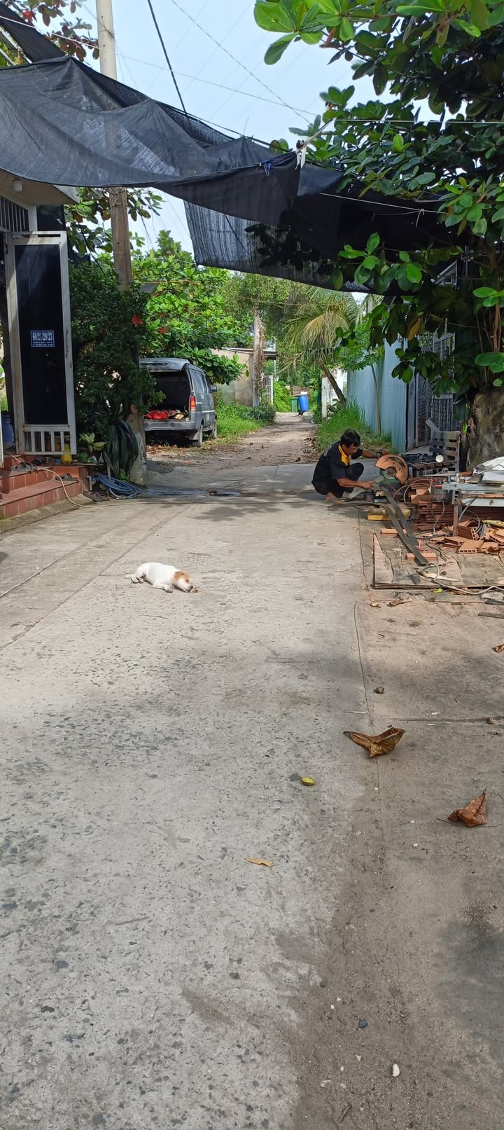 Đất nền Trường Thọ Thủ Đức 163m² giá 7 tỷ - Sổ hồng riêng, xây dựng tự do!