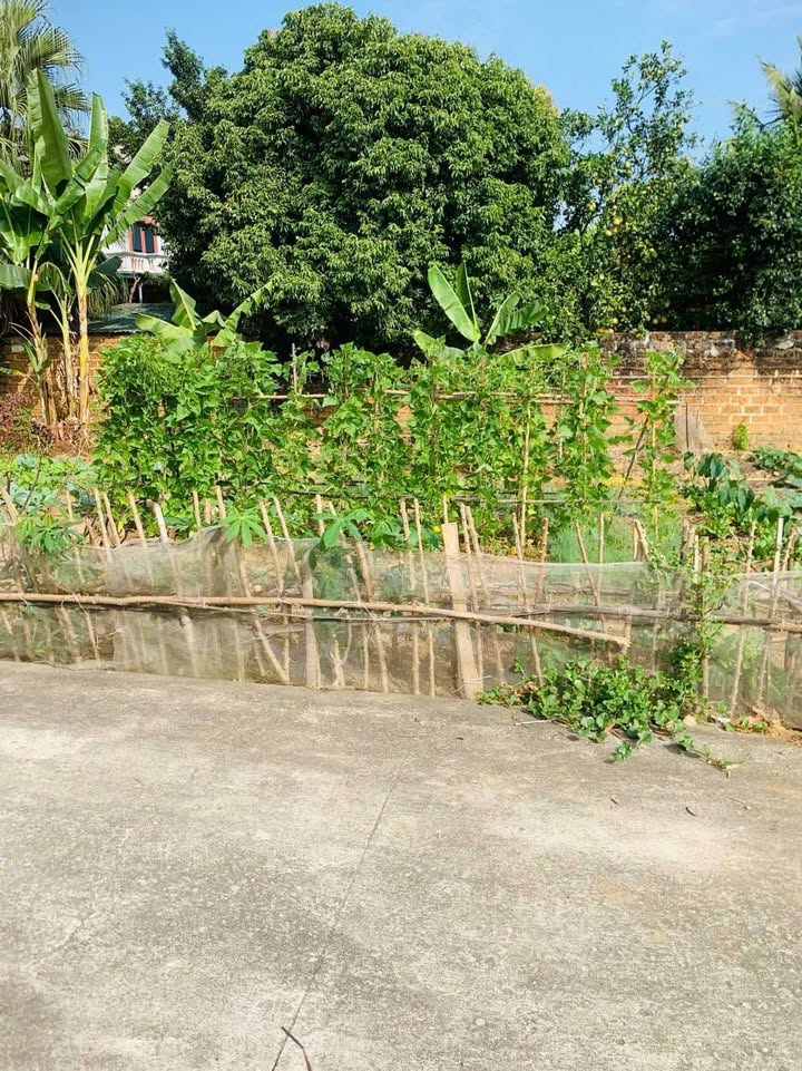 Đất thổ cư Thôn 8, Tân Xã, Thạch Thất 78m² giá thỏa thuận - Vị trí chiến lược, đầu tư an tâm!