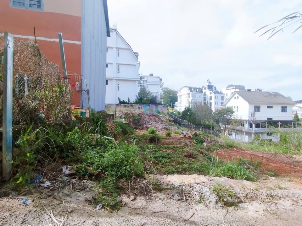 Đất Tô Hiến Thành Đà Lạt 71m² giá 3,2 tỷ - Định cư lý tưởng ngay trung tâm!