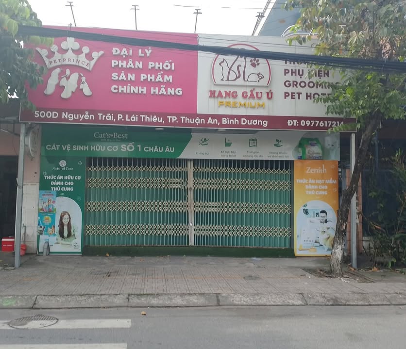 Nhà nguyên căn mặt tiền đường Nguyễn Trãi, Lái Thiêu 160m² - Thích hợp kinh doanh