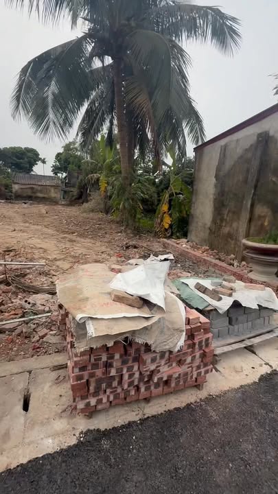 Đất nền Vinh Quang Vĩnh Bảo 100m² giá 1 tỷ - Đầu tư sinh lời không thể bỏ lỡ!