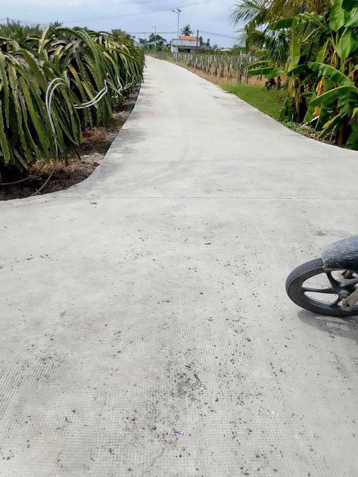 Đất lúa 379m² xã Thanh Phú, Châu Thành, Long An - Giá chỉ 220 triệu VND!