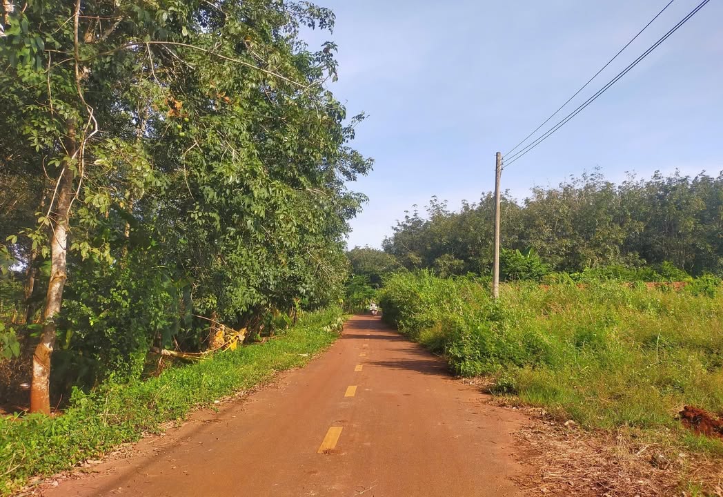 Đất nền Long Tân 200m² giá 700 triệu - Chính chủ bán gấp!