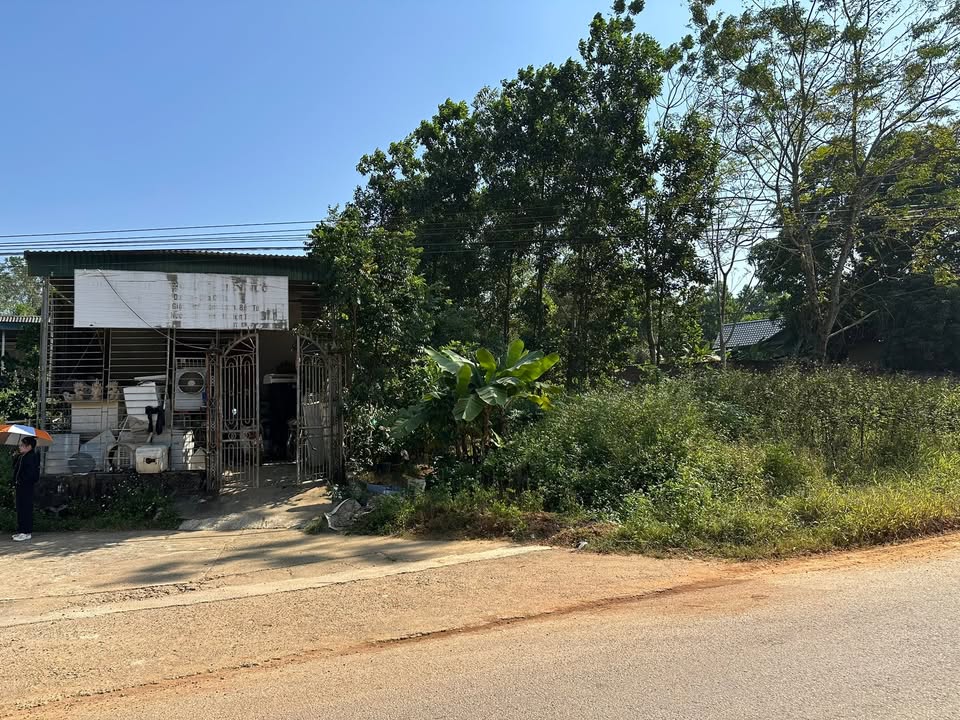 Đất nền Phong Châu - 267.8m² giá 2 tỷ - Cơ hội đầu tư hấp dẫn!