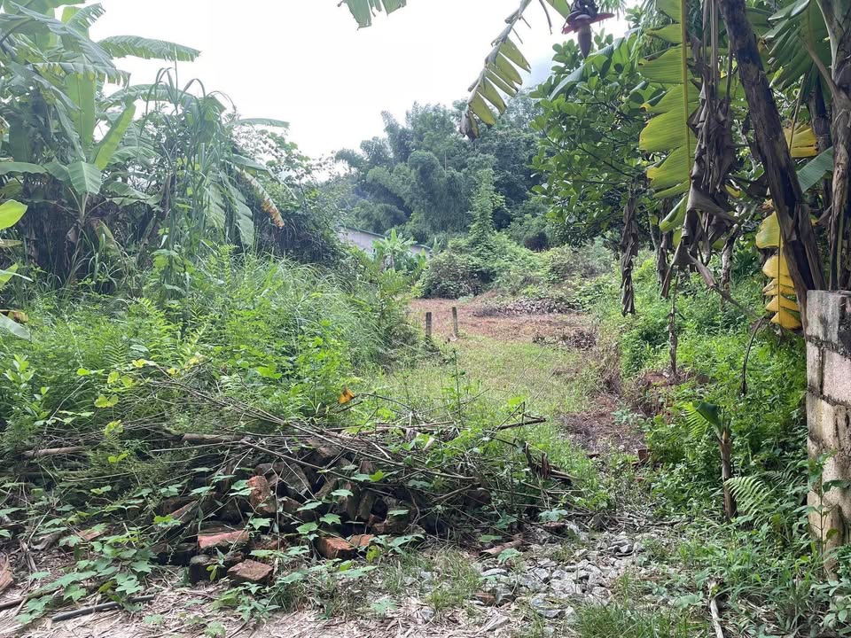 Đất nền 2522m² tại phường Nùng Trí Cao, giá chỉ 1 tỷ - Cơ hội đầu tư hấp dẫn!