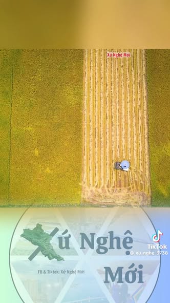 Đất nền Cẩm Bình 170m² giá 1 tỷ - Vị trí trung tâm, tiềm năng phát triển!