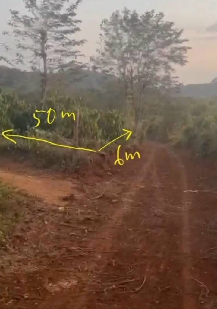 Đất nền xã Dur Kmăl, Đắk Lắk 300m² giá chỉ 150 triệu - Đầu tư sinh lời ngay!