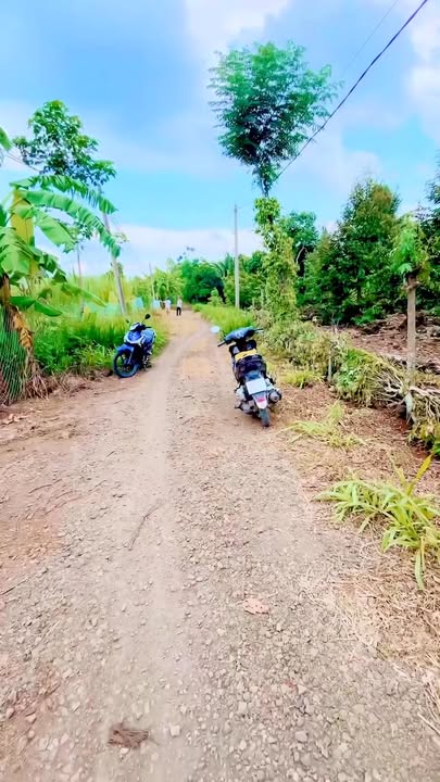 Đất vườn Tân Phú mới 1800m² giá 1.6 tỷ - Đầu tư lý tưởng cho nhà vườn!