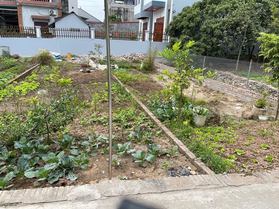 Đất nền 65m² Như Quỳnh, Hưng Yên - Vị trí trung tâm, giá thỏa thuận!