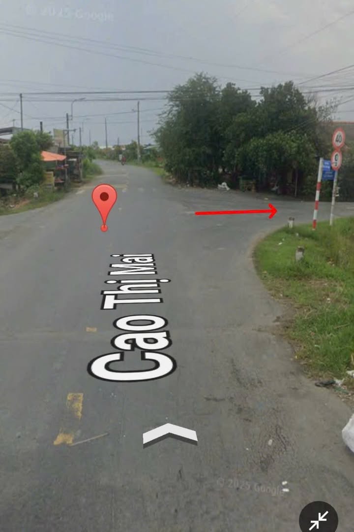 Đất lúa 1000m² mặt tiền nhựa Cao Thị Mai - Tân Trụ giá 2 tỷ - Đầu tư sinh lời ngay!