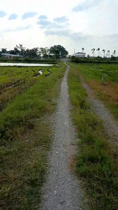 Đất thổ cư 300m² tại Đức Hòa Thượng, Long An chỉ 1.35 tỷ - Đầu tư sinh lời cao!