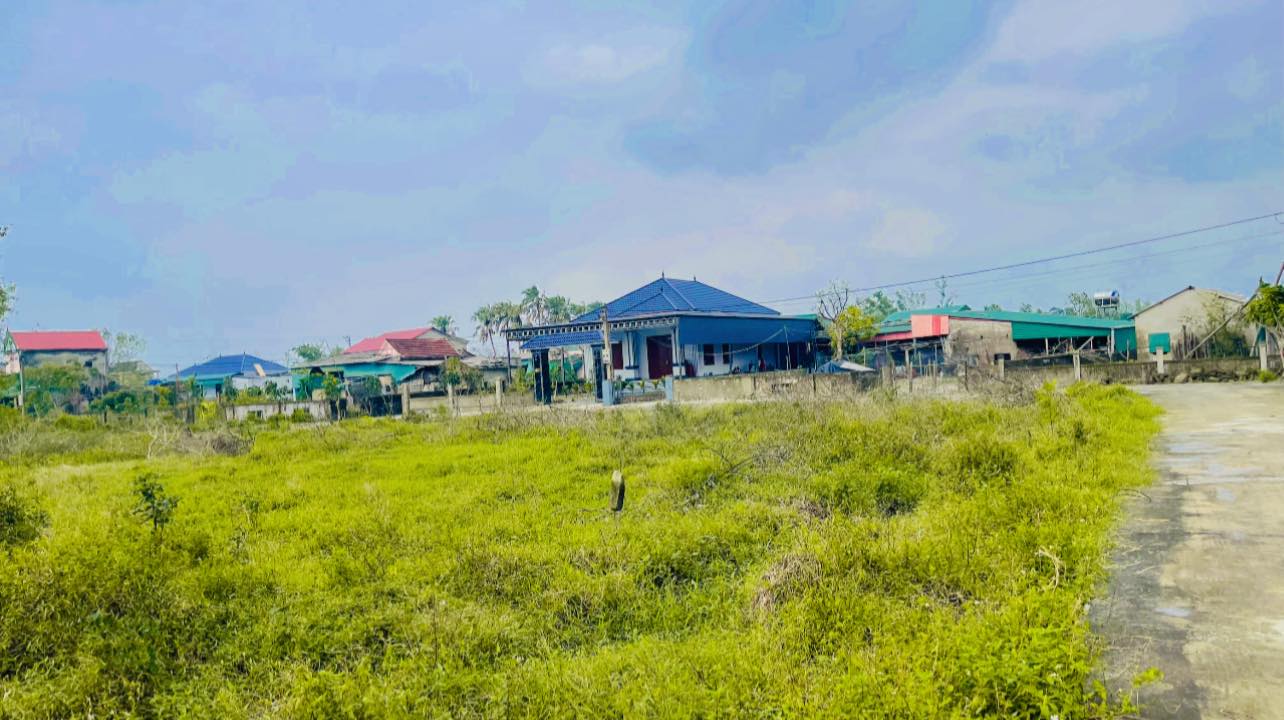 Đất Yên Hòa Cẩm Xuyên 176m² giá chỉ 3xx triệu - Đường bê tông 7m