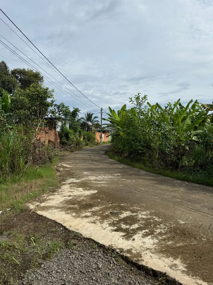 Đất nông nghiệp Tà Lài 1500m² giá 750 triệu - Tiềm năng đầu tư sinh lời!