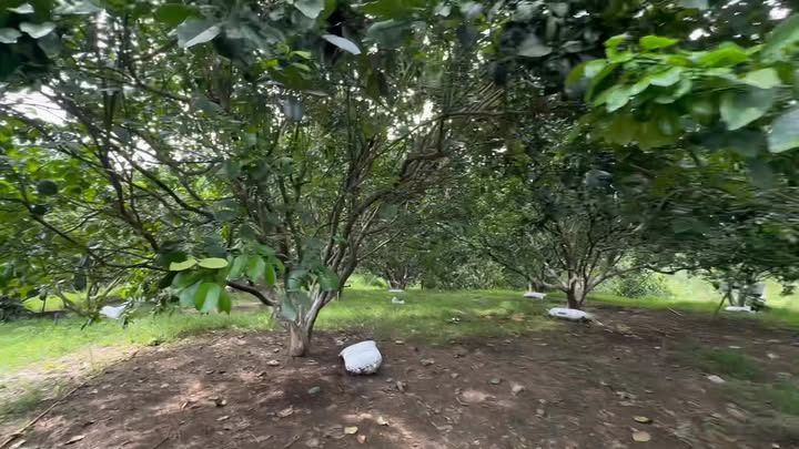 Đất vườn Khánh Phú Khánh Vĩnh 7000m² giá 1.54 tỷ - View suối tuyệt đẹp!