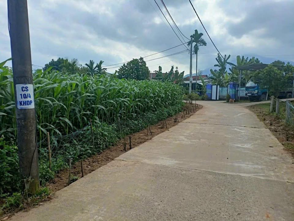 Lô nhà vườn Hòa Nhơn, Đà Nẵng 580m² giá 2 tỷ - Cơ hội đầu tư lý tưởng!