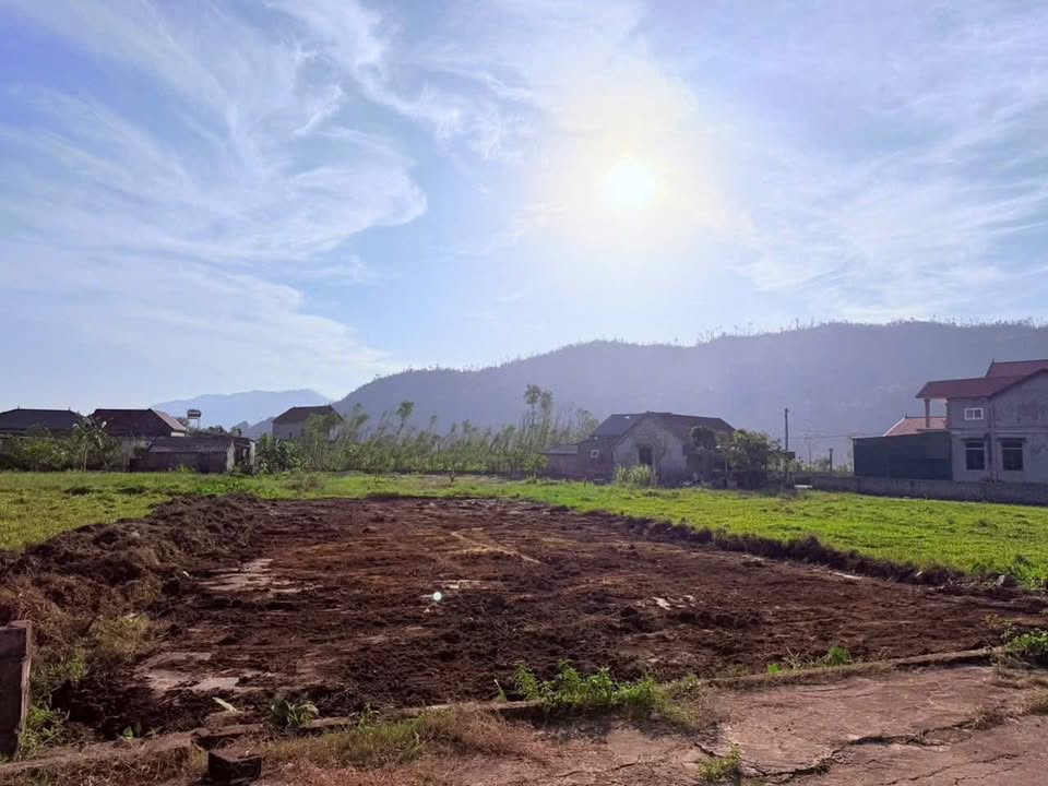 Đất Thổ cư Lô Góc 2 Mặt Tiền Thôn 5, Xuân Lĩnh, 264m² - Cơ Hội Đầu Tư Hiếm Có!