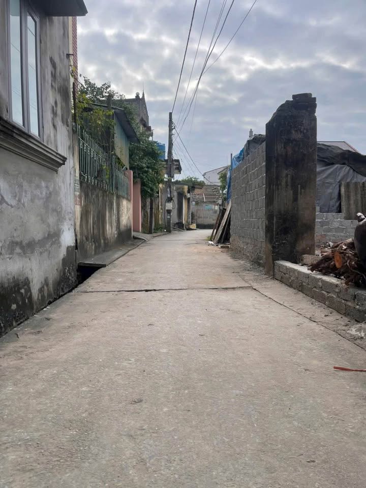 Đất Giai Phạm Yên Mỹ 100m² giá chỉ 2x triệu - Mặt tiền rộng ô tô đỗ ngay!