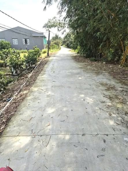 Đất trồng ổi 1.400m² tại Phước Tân Hưng, Châu Thành giá 999 triệu - Sổ hồng chính chủ!