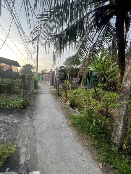 Đất nền Mỹ Lộc Cần Giuộc 158m² giá 890 triệu - Cơ hội đầu tư hấp dẫn!